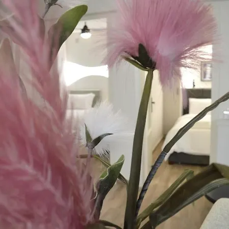 公寓 Helen 埃尔莫波利斯