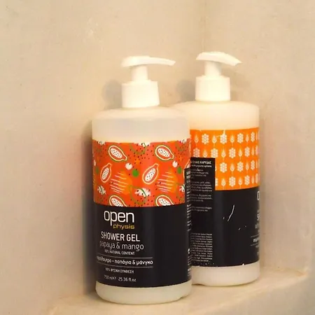 公寓 Helen 埃尔莫波利斯